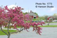 Shelburne, VT - Round Barn - Spring
